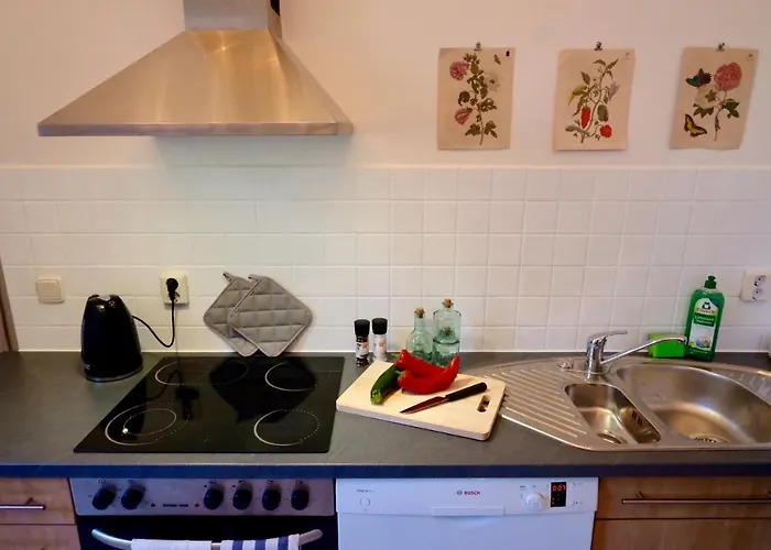 110 Qm Ferienwohnung Stadtvilla Halberstadt - Dem Tor Zum Harz